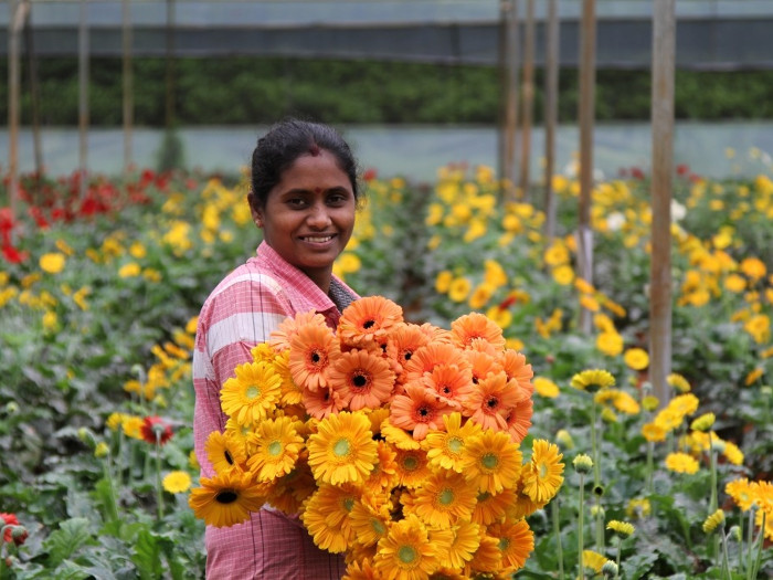 Entrepreneurship Floriculture