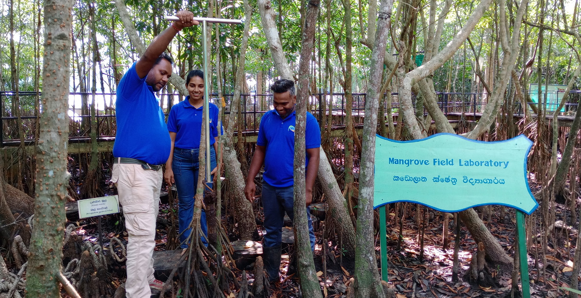Mangrove Field lab
